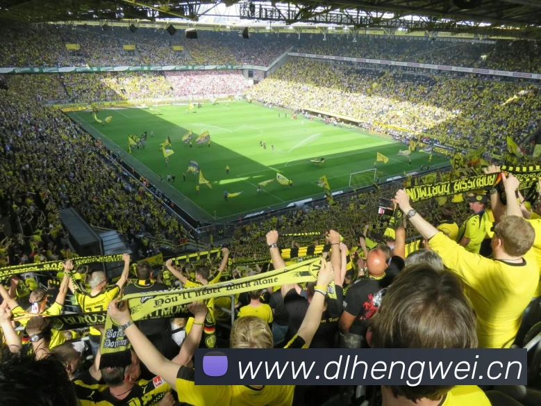 世界杯直播在线直播观看免费全站App